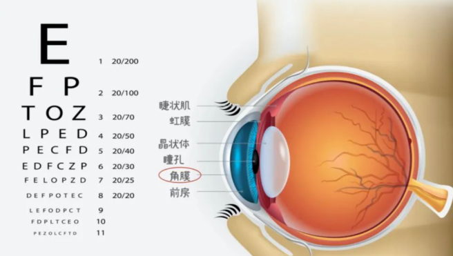 图1.png